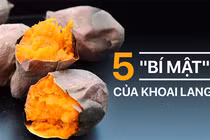 Video: 5 lời khuyên quan trọng trước khi ăn khoai lang