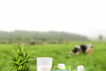 TH True Milk “hữu cơ hóa” ngành sữa Việt! 