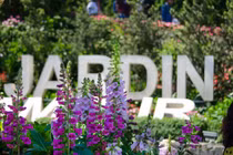 Có một Sun World Ba Na Hills rực rỡ sắc hoa