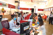 HDBank tài trợ gần 3 tỷ đồng chống xâm lấn hạn mặn ở ĐBSCL