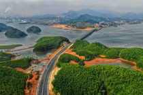 Từ 10/7, phương tiện di chuyển tối đa 100 km/h trên cao tốc Hạ Long – Vân Đồn