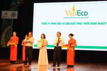 Vineco đạt danh hiệu thương hiệu vàng nông nghiệp Việt Nam