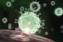 Virus SARS-CoV-2 tồn tại bao lâu trên từng bề mặt?