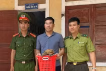 Người dân Quảng Bình giao nộp cá thể cu li cực kỳ quý hiếm