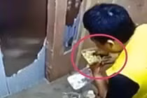 Video: Shipper hồn nhiên ăn vụng thức ăn của khách hàng giữa đường