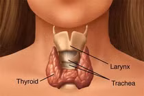 Có thể có con sau khi điều trị ung thư tuyến giáp
