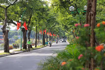 Dự báo thời tiết 20/11, miền Bắc nắng, miền Nam mưa giông