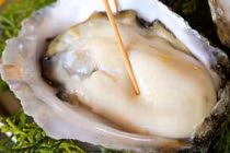 Muốn săn "rồng con" năm Giáp Thìn, quý ông nhớ ăn 5 thực phẩm 