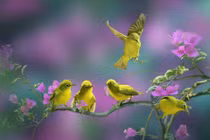 Sinh ngày Âm lịch này tháng 4 đổi đời