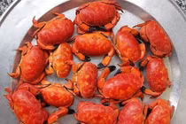 Đặc sản tên kỳ cục, được ví như cua hoàng đế, giá 250.000 đồng/kg