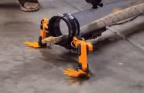 Thiết bị kỳ lạ biến rắn thành thằn lằn