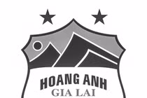 Bóng đá Việt Nam sẻ chia nỗi mất mát to lớn của Hoàng Anh Gia Lai