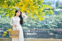 “Hot girl bánh mướt” xứ Nghệ khoe dịu dàng mùa hoa hoàng yến