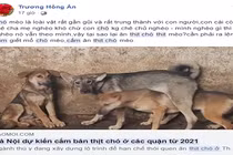 Dân mạng nói gì về đề xuất cấm ăn thịt chó mới được đăng tải?