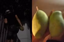 Nửa đêm bạn gái thèm xoài chua, chàng trai có pha xử lý "truất"