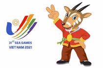 Chính thức hoãn SEA Games 31 tại Việt Nam