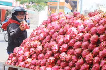 Vì sao nông sản Việt gặp khó tại thị trường Trung Quốc?