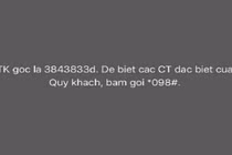 Lần cuối được khuyến mại 50%, dân mạng khoe ảnh tài khoản điện thoại khủng