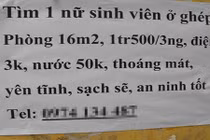 Bí kíp riêng để sống “hòa bình” với bạn lạ cùng trọ