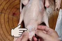 Ba bộ phận này của vịt chứa nhiều 'độc tố'