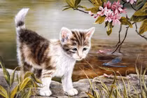 4 con giáp Thần Phật che chở, hóa hung thành cát, viên mãn cả đời