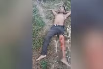 Đang câu cá, người đàn ông bị cá sấu tấn công và cái kết