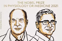 Chân dung hai nhà khoa học Mỹ đoạt giải Nobel Y học 2021 