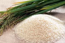 Vì sao ăn cơm nếp lại thấy khó tiêu?