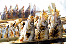 Thủ phạm gây bệnh tim mạch từ thực phẩm 