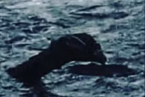 Lời giải cực sốc về sự tồn tại của quái vật hồ Loch Ness 