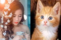 Top con giáp được thần tài ưu ái ban lộc bất ngờ trước Tết âm