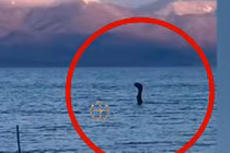 Cuối cùng bí ẩn quái vật hồ Loch Ness cũng được giải mã? 