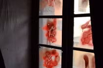 Kỳ dị ngôi nhà “ma ám” giữa lòng Bắc Kinh 