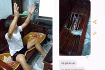 Cổ vũ bóng đá quá sung làm ghế gãy đôi khiến dân mạng cười ngất