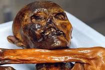  Sự thật ngỡ ngàng về bữa ăn cuối cùng của người băng Otzi