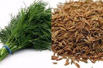 Kinh nghiệm dân gian chữa ngộ độc thức ăn