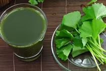 Những cách uống nước rau má sai lầm có thể chết người