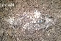 Đào được 'kho báu' khổng lồ, thanh niên lập tức đổi đời