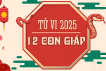 Dự đoán 12 con giáp năm 2025, tuổi nào tài lộc, tuổi nào đen?