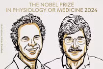 Giải Nobel Y học năm 2024 vinh danh người khám phá microARN