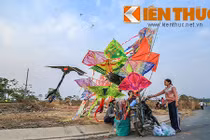 Xem người Sài Gòn hào hứng thả diều