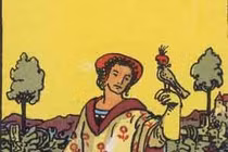 Chi tiết lá bài Tarot 9 of Coins đoán tài vận tháng 3.2019 