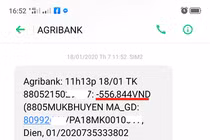Trừ tiền điện của khách hai lần liên tiếp, EVN và Agribank đổ lỗi cho nhau