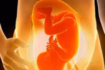 7 nguyên nhân gây cạn ối ở bà bầu