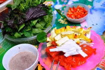 Điều ít biết về loại sứa đỏ đang gây sốt ở Hà Nội