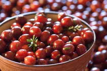 Phụ nữ sợ già, béo, ung thư nên uống ước ép việt quất 