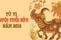 Video: Tuổi Sửu chọn màu nào cho để năm 2019 may mắn