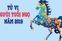 Video: Màu sắc phong thủy cho tuổi Ngọ năm 2019
