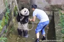 Khoảnh khắc 'tấu hài' vô đối của động vật trong sở thú