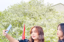 Đẹp ngỡ ngàng mùa hoa sưa nở trắng trời Hà Nội